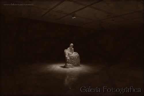 Galería de Fotos