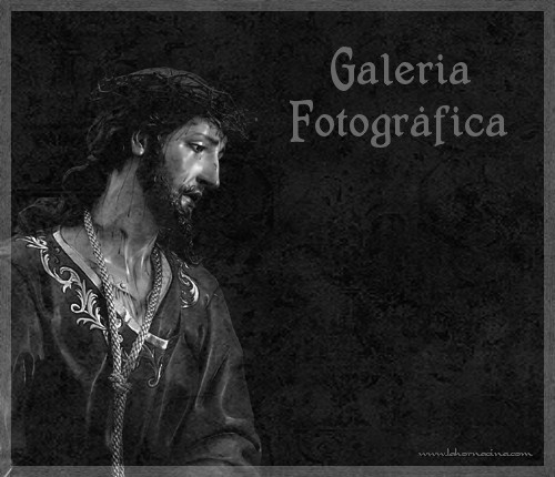 Galería de Fotos