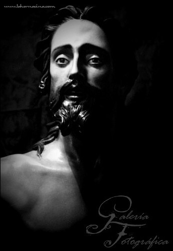 Galería de Fotos