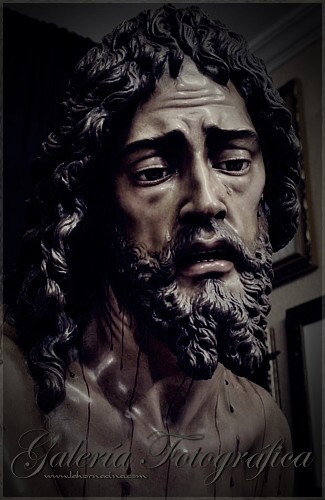 Galería de Fotos