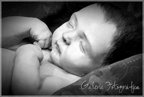 Galería de Fotos