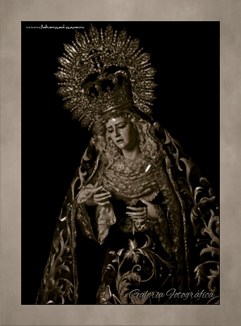 Galería de Fotos