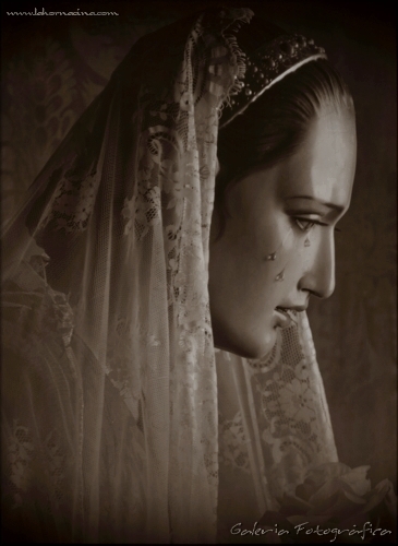Galería de Fotos