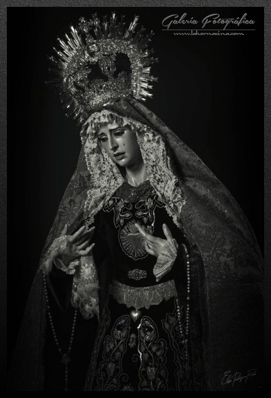 Galería de Fotos