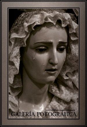 Galería de Fotos