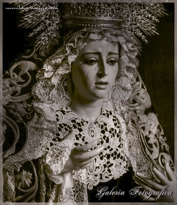 Galería de Fotos