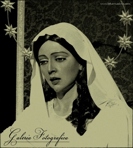 Galería de Fotos