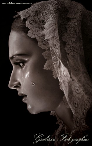 Galería de Fotos