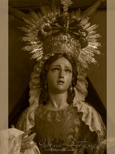 Galería de Fotos