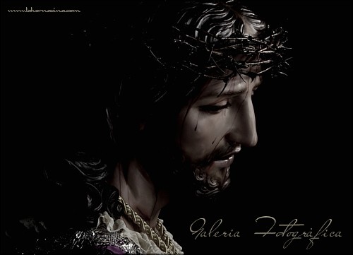 Galería de Fotos