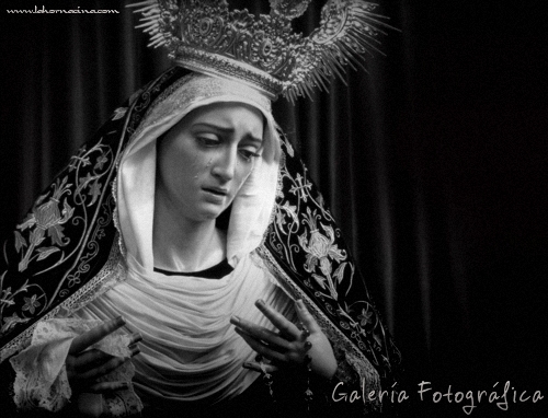 Galera de Fotos