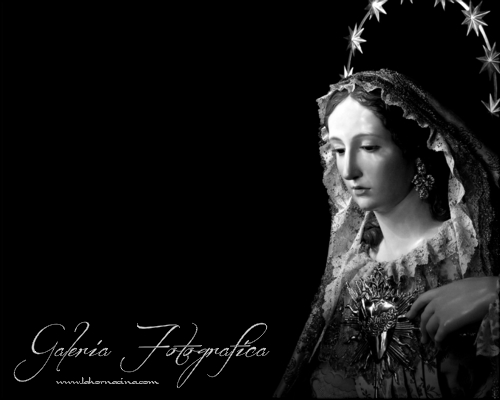 Galería de Fotos