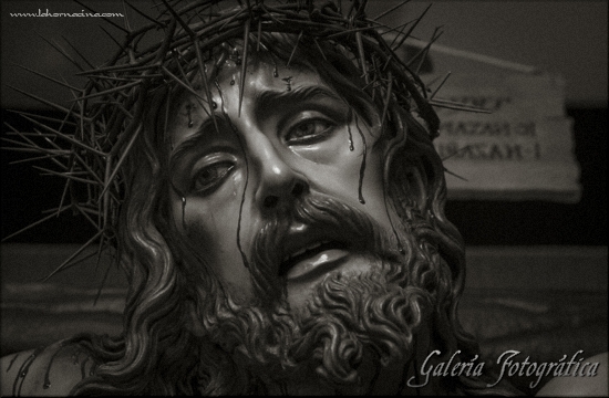Galería de Fotos