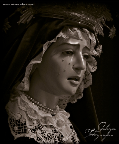 Galería de Fotos