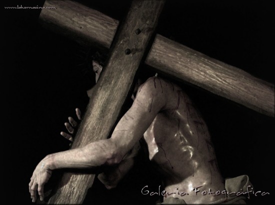 Galería de Fotos