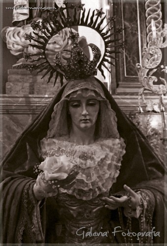 Galería de Fotos