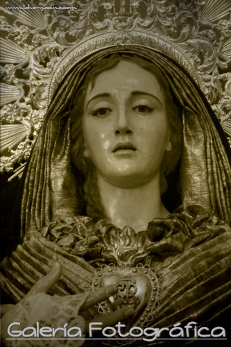 Galería de Fotos