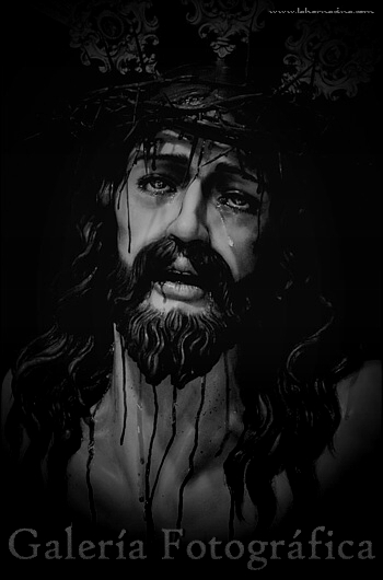 Galería de Fotos