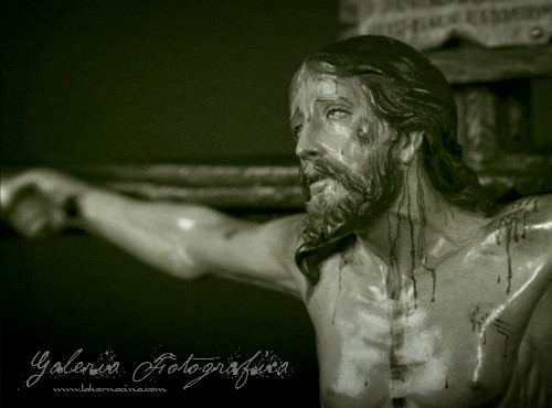 Galería de Fotos