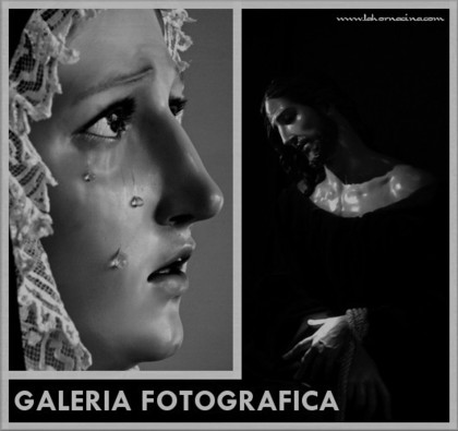 Galería de Fotos