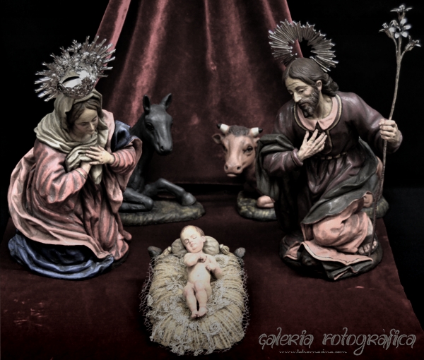 Galería de Fotos
