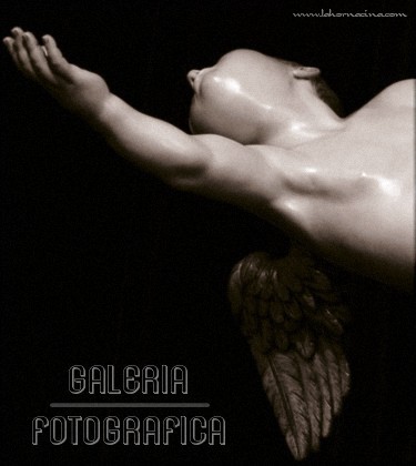Galería de Fotos