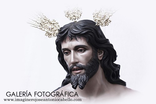 Galería de Fotos