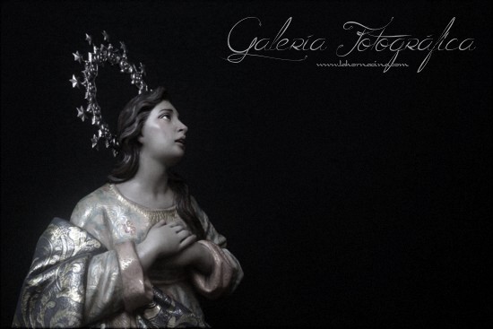 Galería de Fotos