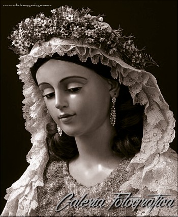 Galería de Fotos