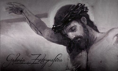 Galería de Fotos
