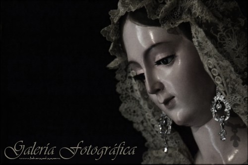 Galería de Fotos