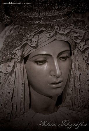Galería de Fotos