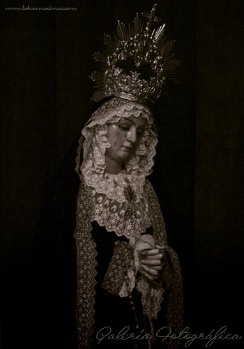 Galería de Fotos