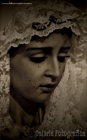 Galería de Fotos