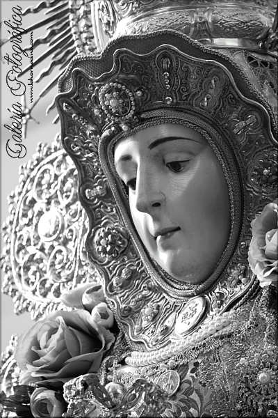 Galería de Fotos