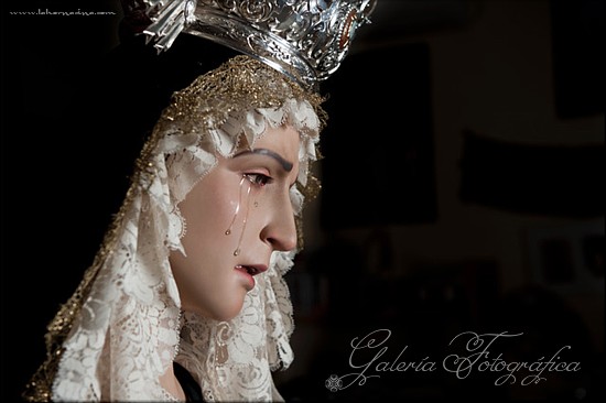 Galería de Fotos