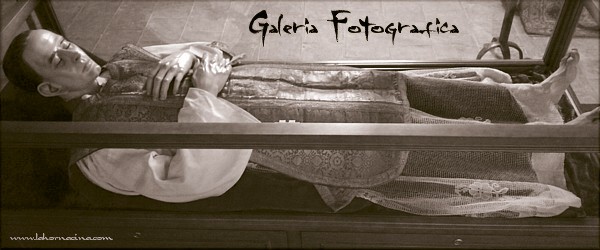 Galería de Fotos