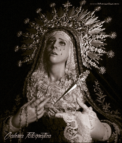 Galería de Fotos