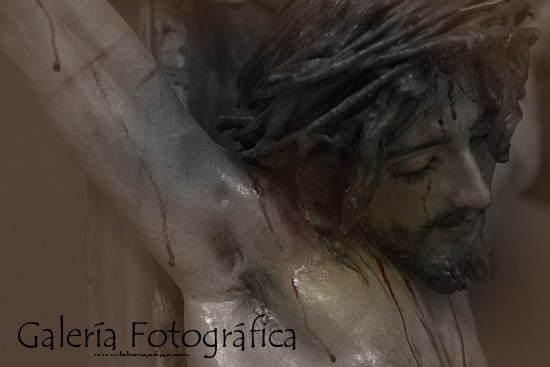 Galería de Fotos