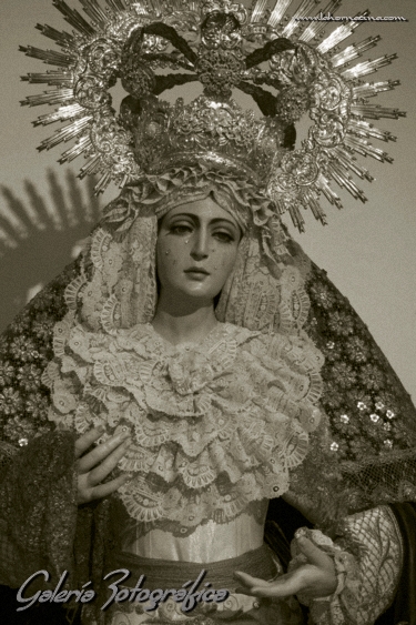 Galería de Fotos