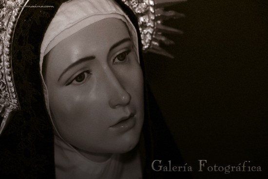 Galería de Fotos