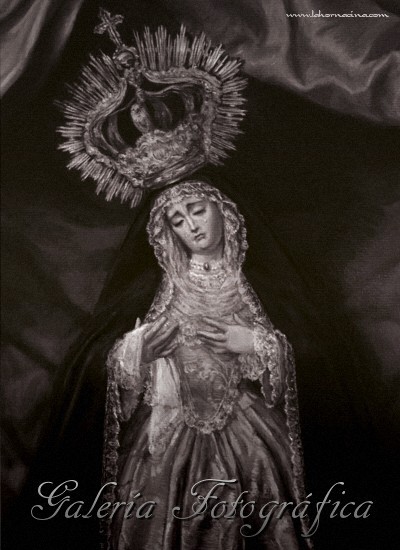 Galería de Fotos