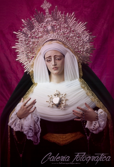 Galería de Fotos