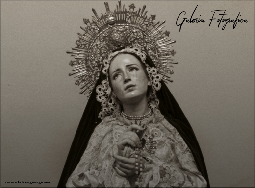 Galería de Fotos