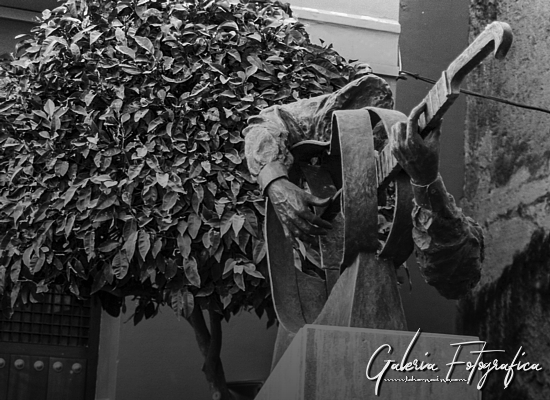Galería de Fotos