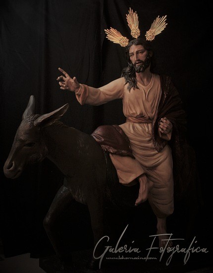 Galería de Fotos